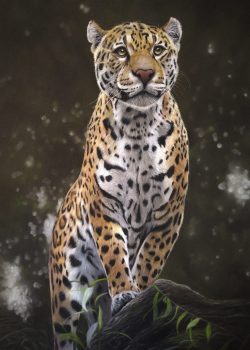 IMG_20251002_1036074-01_071100